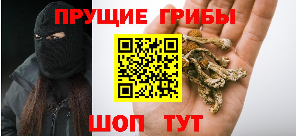 Галлюциногенные грибы MAGIC MUSHROOMS Дзержинск